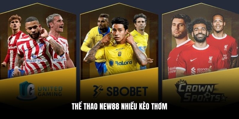 Thể thao New88 nhiều kèo thơm