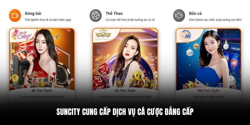 Suncity cung cấp dịch vụ cá cược đẳng cấp