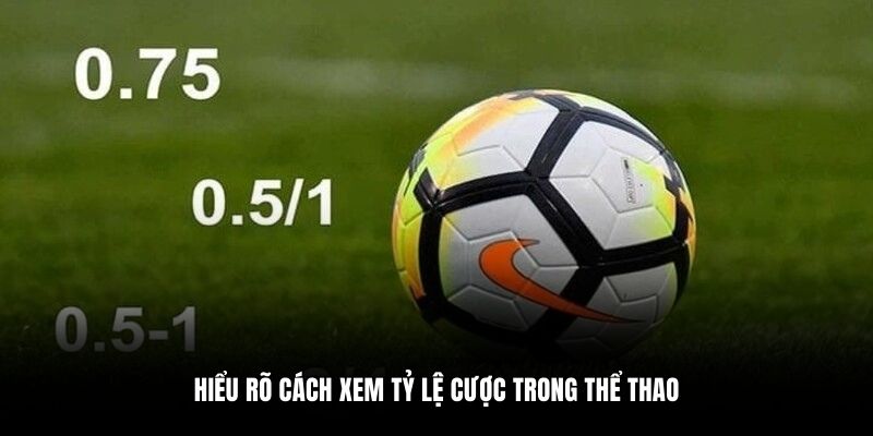 Hiểu rõ cách xem tỷ lệ cược trong thể thao