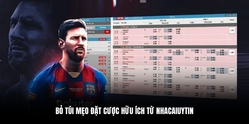 Bỏ túi mẹo đặt cược hữu ích từ nhacaiuytin