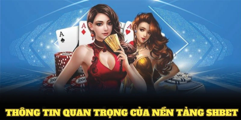 Khám phá nhiều thông tin quan trọng của nền tảng SHBET